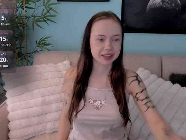 DragonFlya webcam