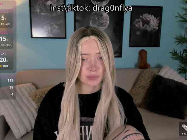 DragonFlya webcam