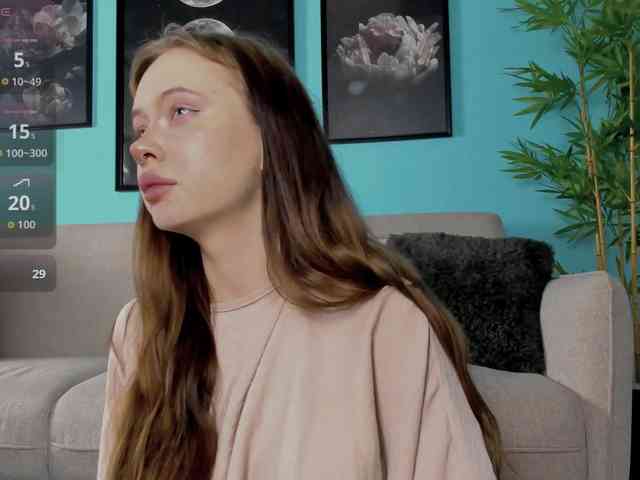 DragonFlya webcam