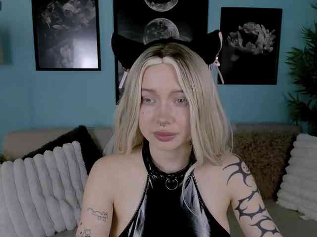 DragonFlya webcam