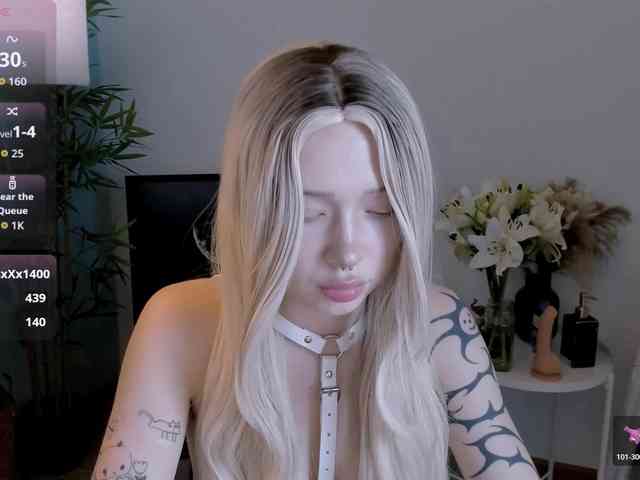DragonFlya webcam