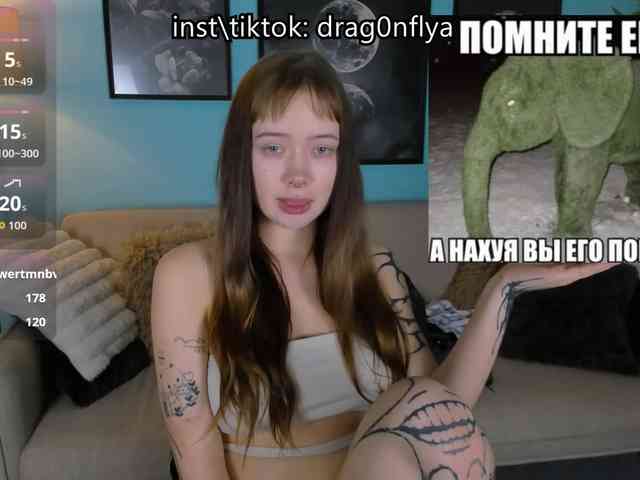 DragonFlya webcam