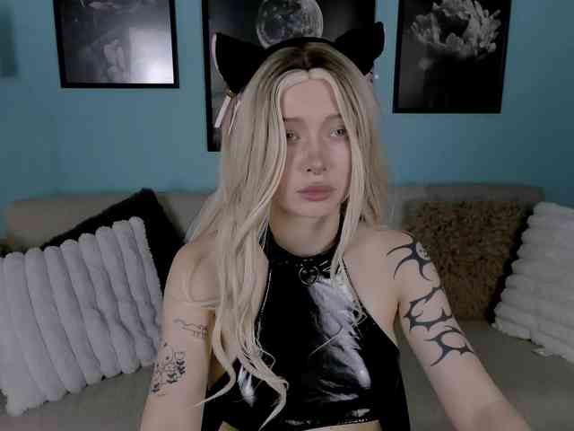 DragonFlya webcam