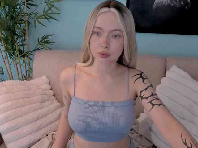 DragonFlya webcam