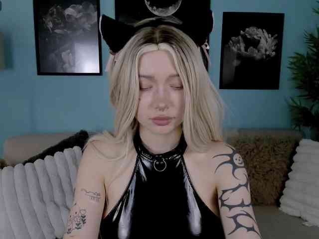 DragonFlya webcam