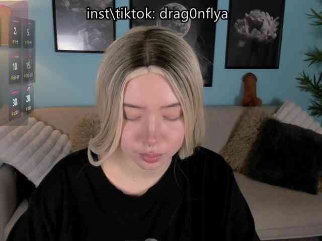 DragonFlya webcam