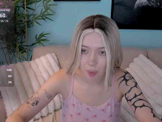 DragonFlya webcam