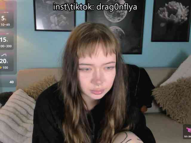 DragonFlya webcam