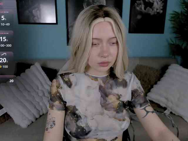 DragonFlya webcam