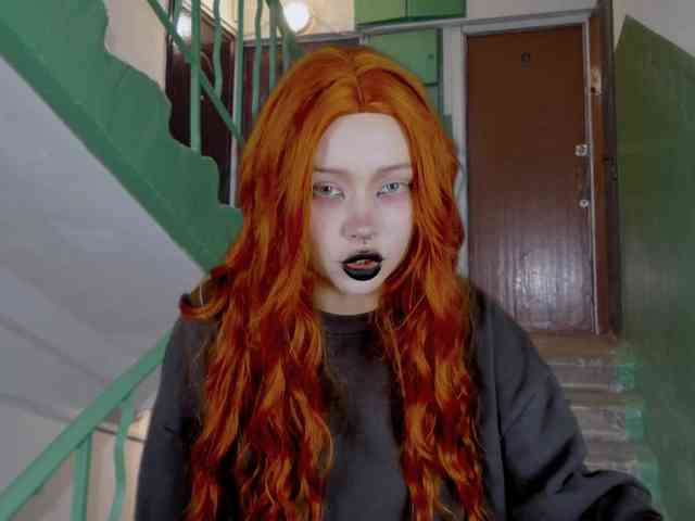 DragonFlya webcam