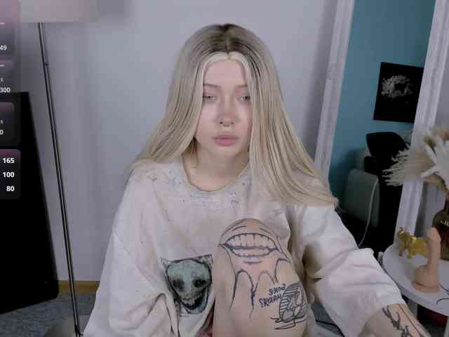 DragonFlya webcam