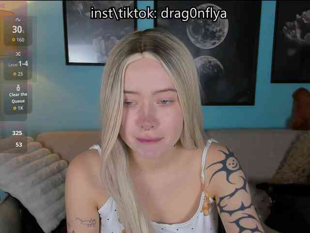 DragonFlya webcam