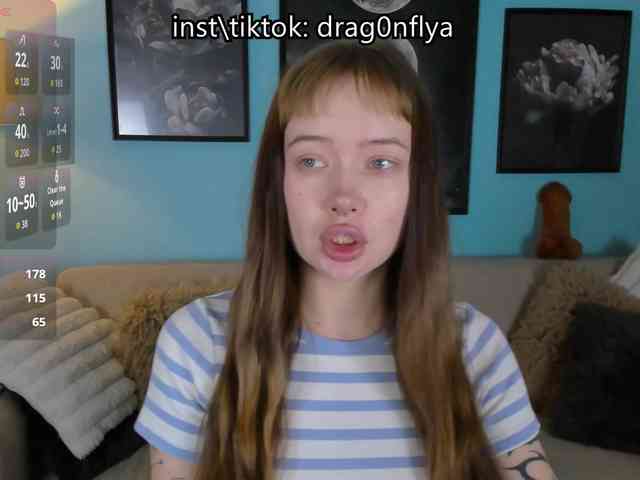 DragonFlya webcam