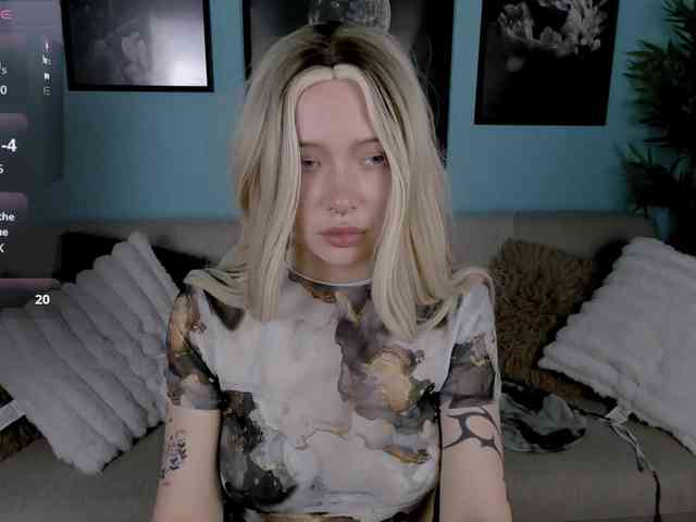 DragonFlya webcam