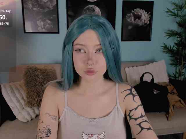 DragonFlya webcam