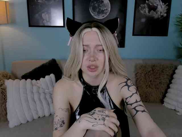 DragonFlya webcam