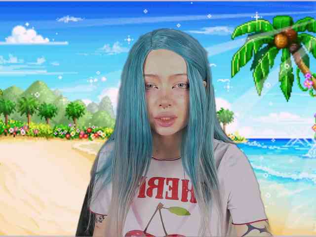 DragonFlya webcam
