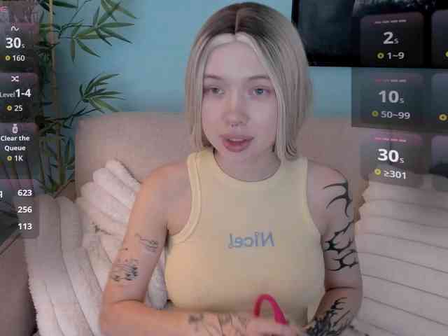 DragonFlya webcam