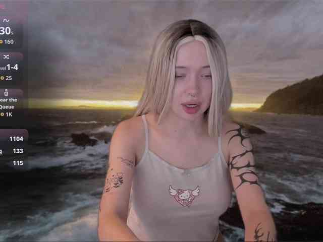 DragonFlya webcam