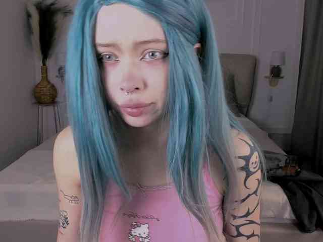 DragonFlya webcam