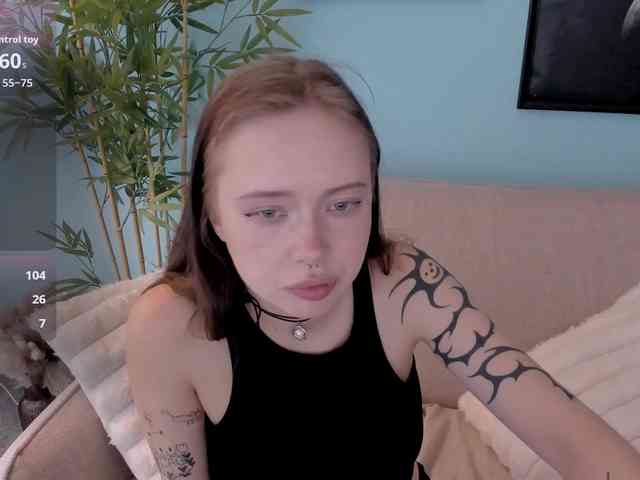 DragonFlya webcam