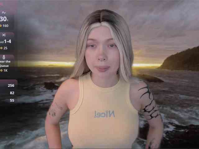 DragonFlya webcam