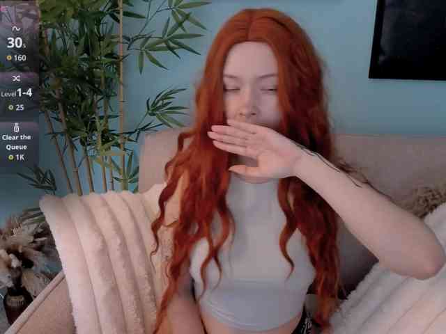 DragonFlya webcam
