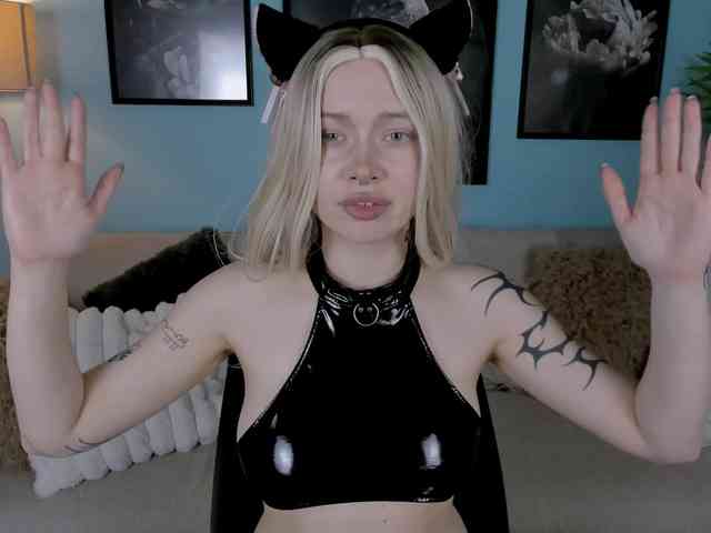 DragonFlya webcam