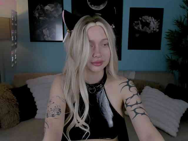 DragonFlya webcam
