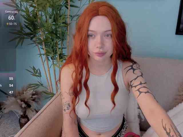 DragonFlya webcam