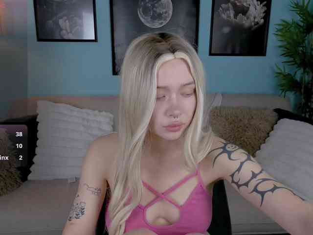 DragonFlya webcam