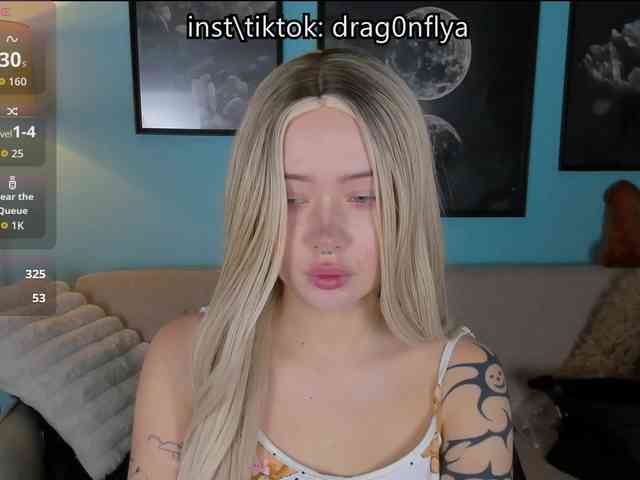DragonFlya webcam