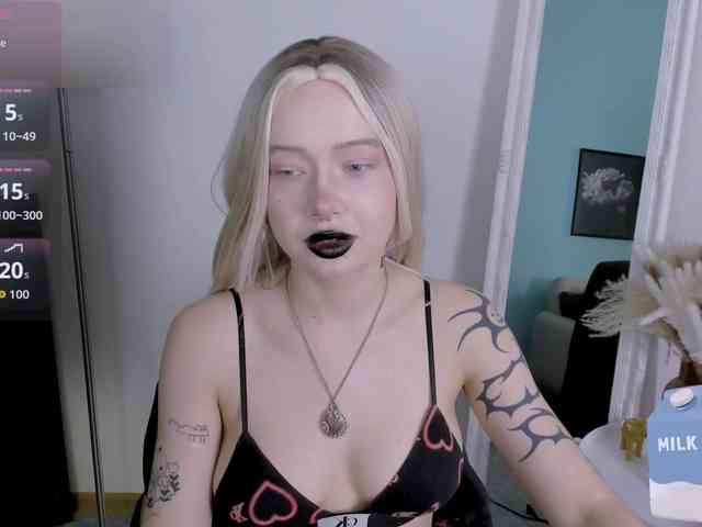 DragonFlya webcam