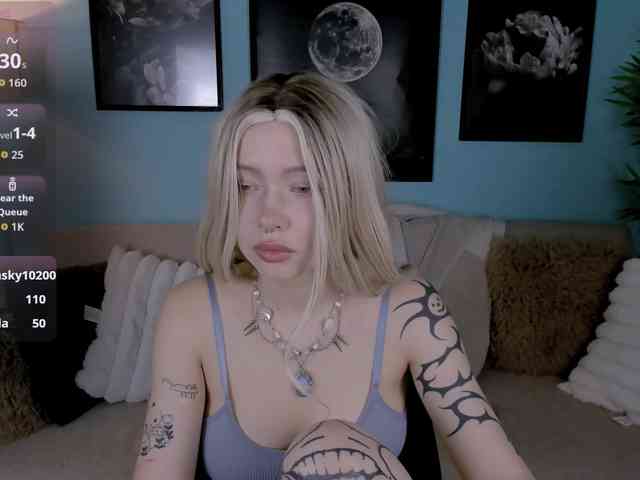 DragonFlya webcam
