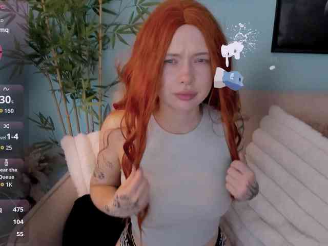 DragonFlya webcam