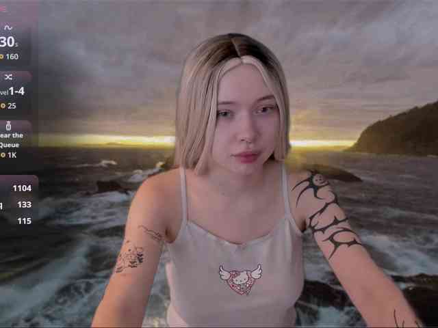 DragonFlya webcam