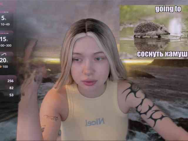 Модель: DragonFlya