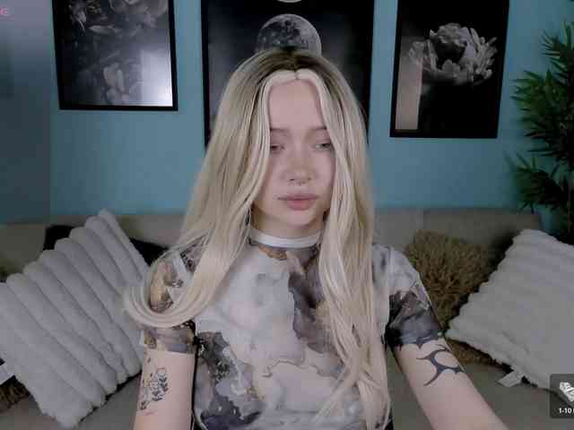 DragonFlya webcam
