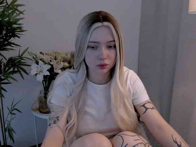 DragonFlya webcam