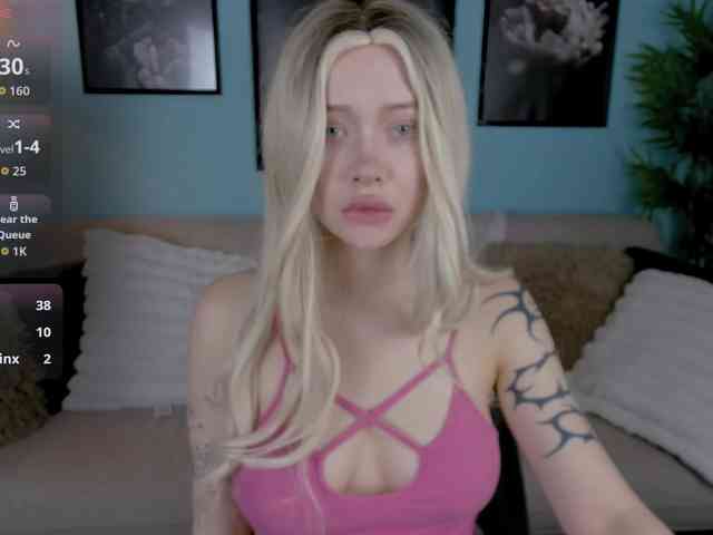 DragonFlya webcam