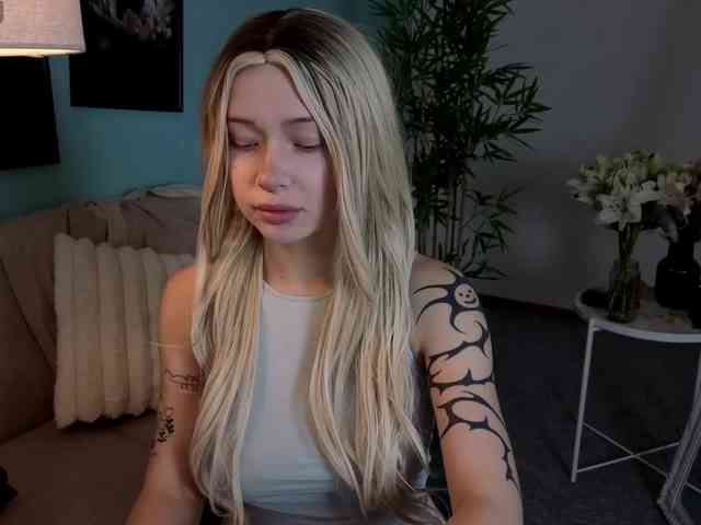DragonFlya webcam