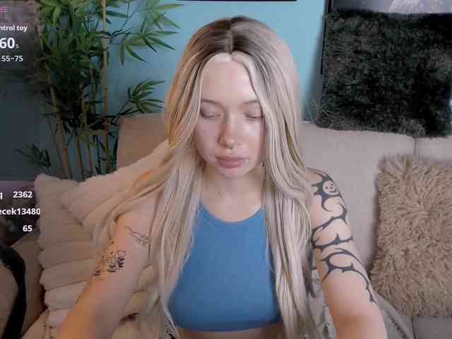 DragonFlya webcam
