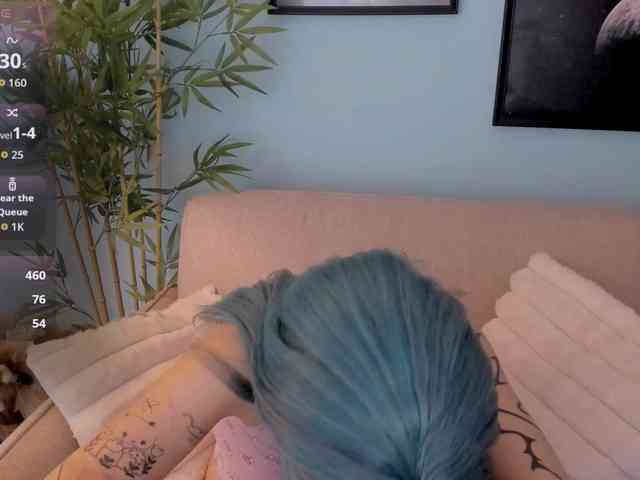 DragonFlya webcam