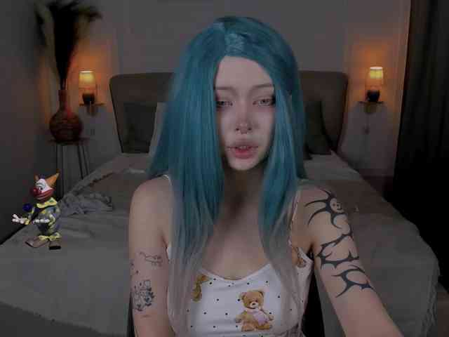 DragonFlya webcam