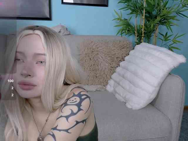 DragonFlya webcam