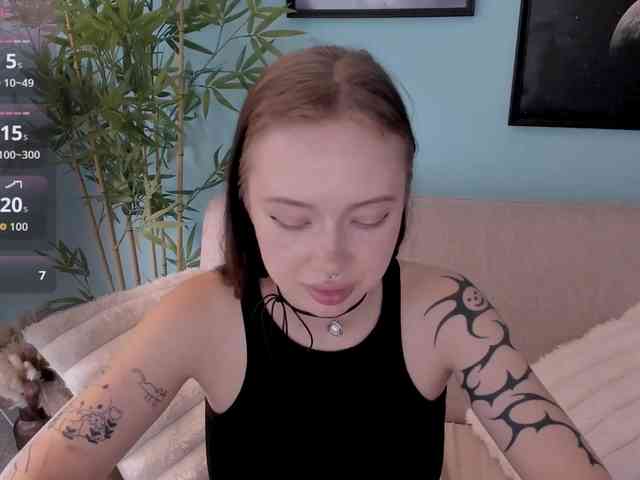 DragonFlya webcam