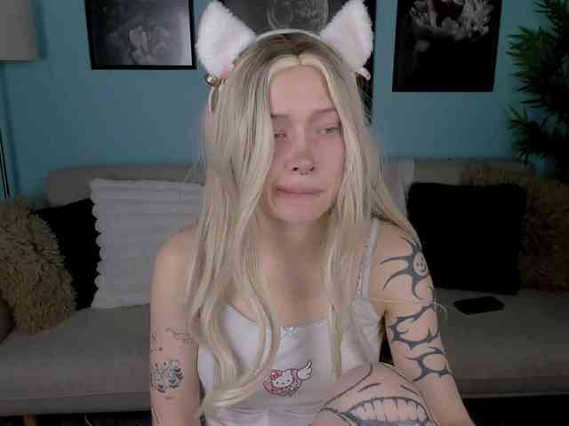 DragonFlya webcam