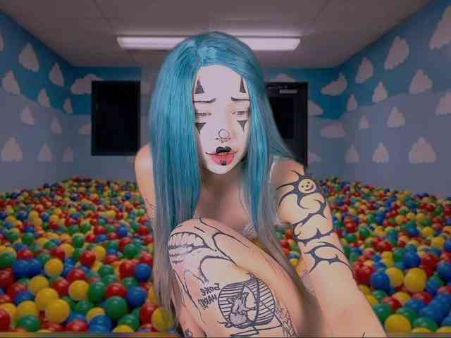 DragonFlya webcam