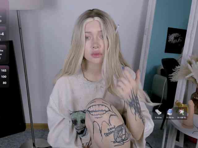 DragonFlya webcam
