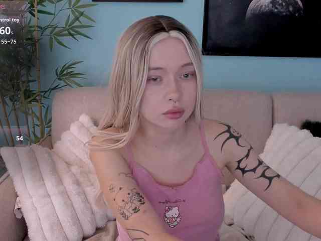 DragonFlya webcam